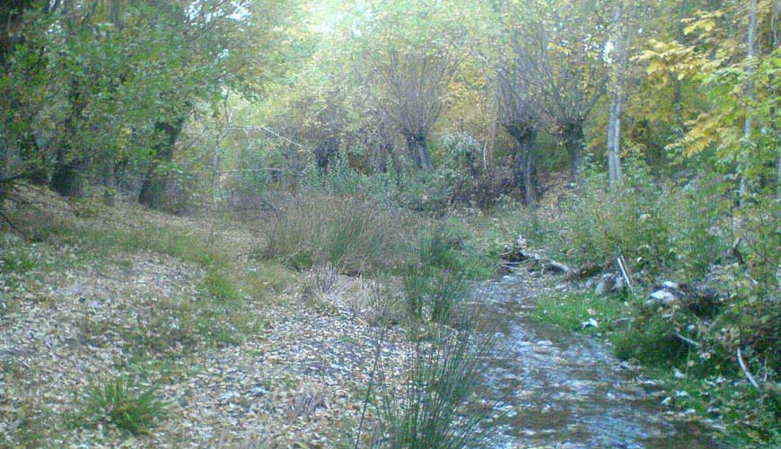 روستای علی آباد پیشکوه تفت