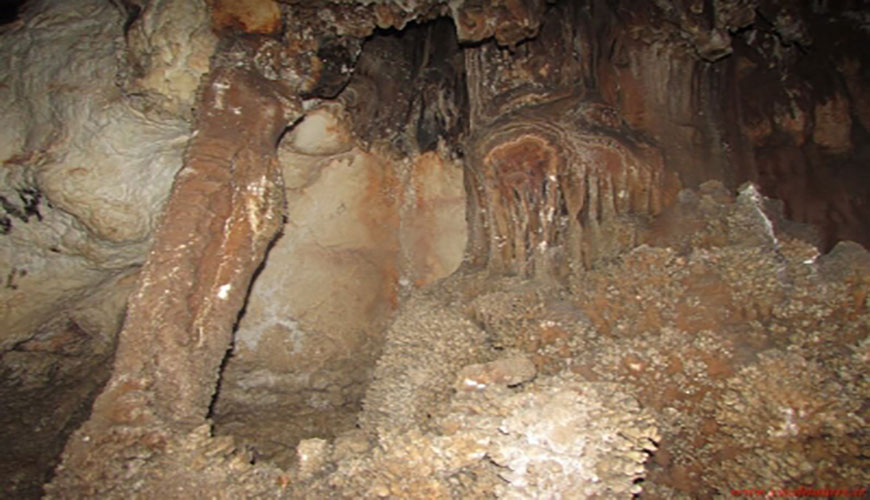 غار نباتی نصرآباد تفت