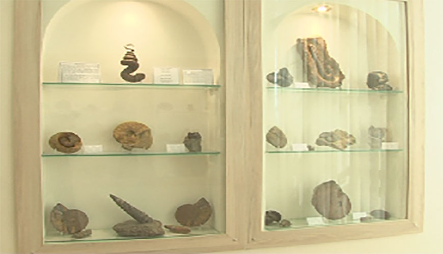 موزه دیرینه شناسی کامبرین یزد