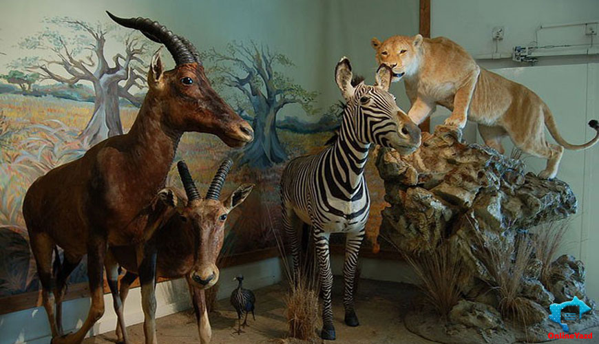موزه محیط زیست یزد