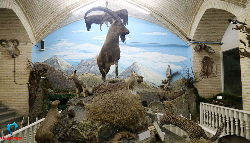 موزه علوم طبیعی یزد
